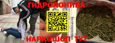 ГАЛЛЮЦИНОГЕННЫЕ ГРИБЫ Кингисепп