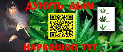 ГАЛЛЮЦИНОГЕННЫЕ ГРИБЫ Кингисепп