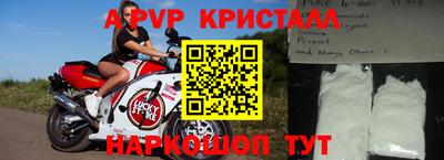 ГАЛЛЮЦИНОГЕННЫЕ ГРИБЫ Кингисепп