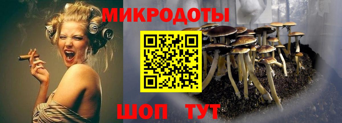 цены   Галлюциногенные грибы Psilocybe  Вход с VPN  Усть-Лабинск 